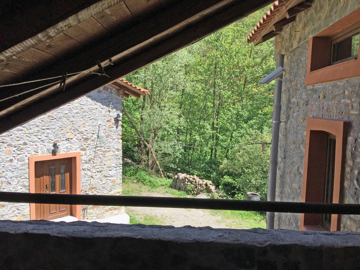 Giusvalla Forest Village Dego Стая снимка